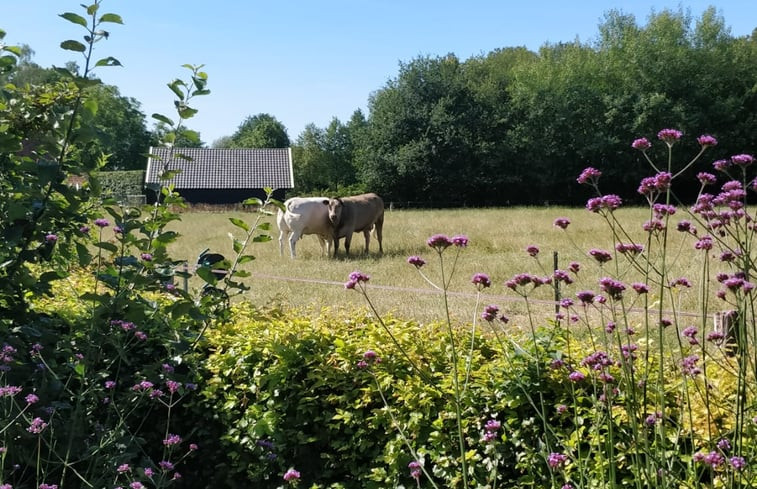 Natuurhuisje in Ambt Delden