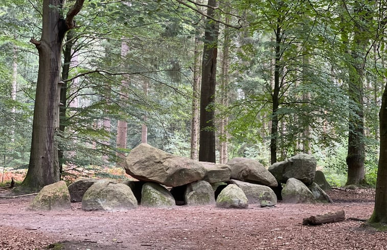 Natuurhuisje in Gasselte