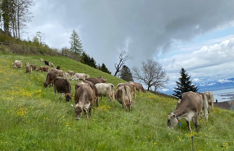 Natuurhuisje in Grub - Sankt Gallen