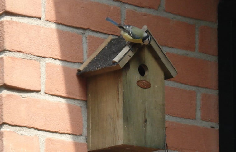 Natuurhuisje in Overloon