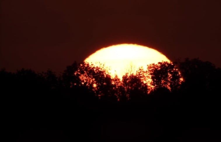 Natuurhuisje in Vriescheloo