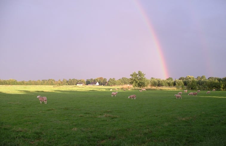 Natuurhuisje in Oldekerk