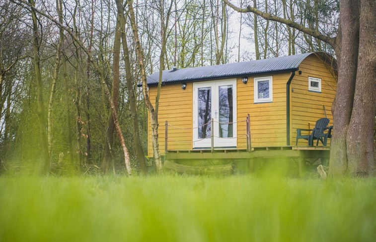 Natuurhuisje in Waskemeer