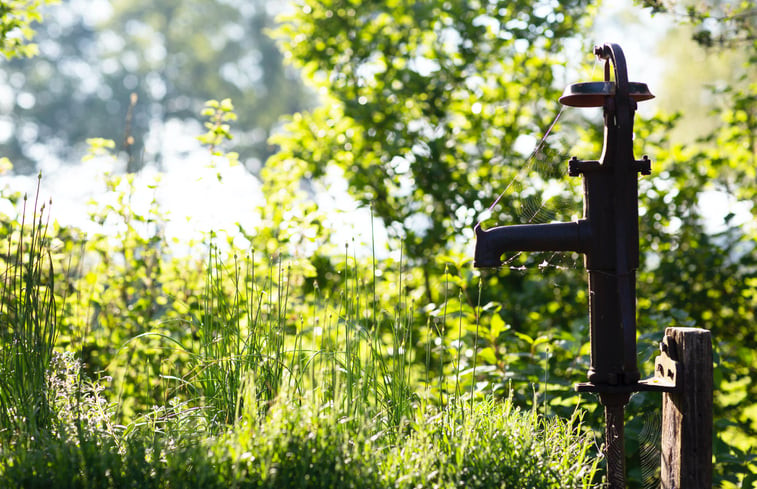 Natuurhuisje in Geesteren