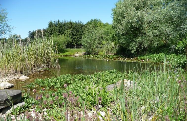 Natuurhuisje in Friesenried