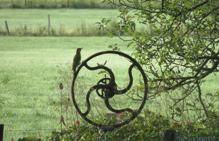 Natuurhuisje in Hall