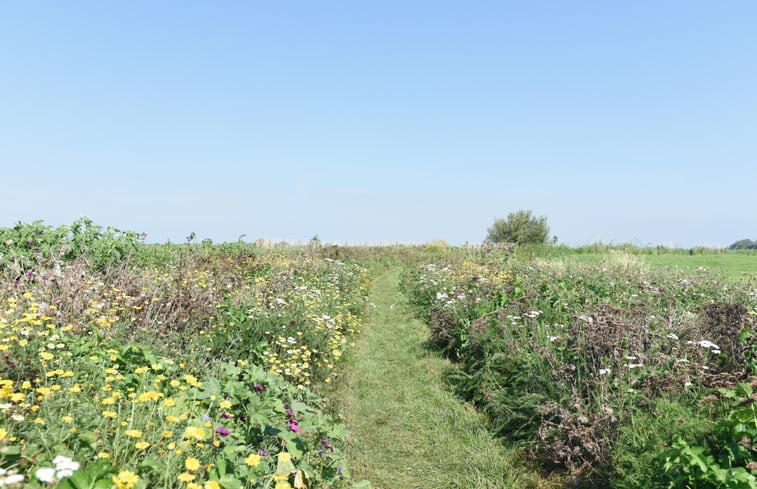 Natuurhuisje in Echtenerbrug