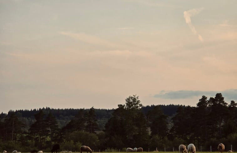 Natuurhuisje in Vielsalm