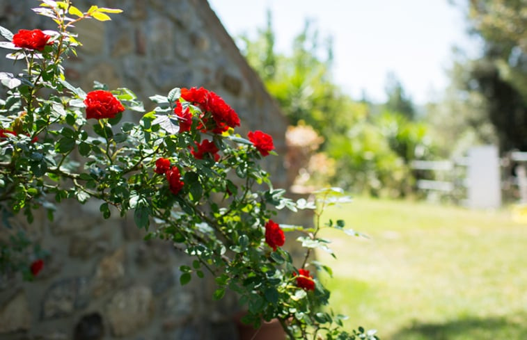 Natuurhuisje in Monterotondo Marittimo