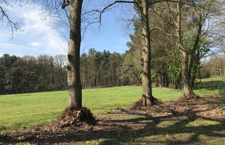 Natuurhuisje in Tessenderlo