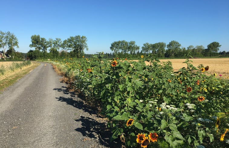 Natuurhuisje in Vrouwenpolder