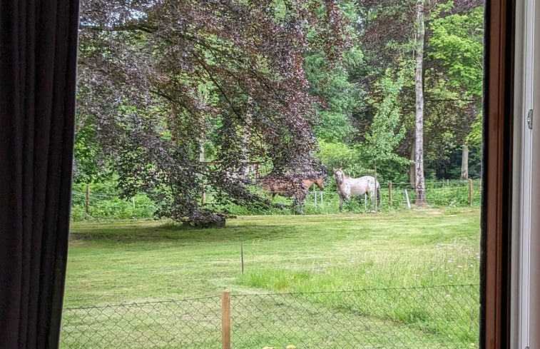 Natuurhuisje in Gorssel