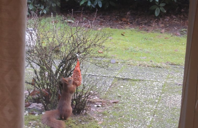 Natuurhuisje in Winterswijk