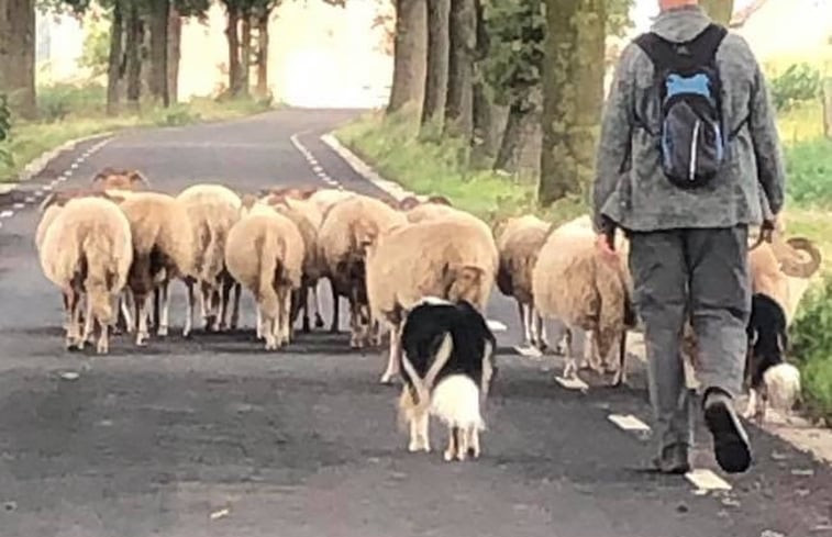 Natuurhuisje in Merselo