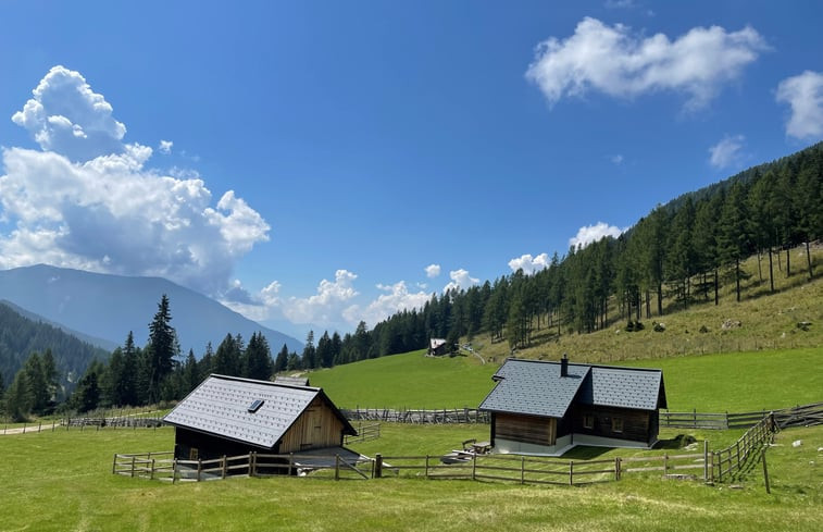 Natuurhuisje in Radenthein