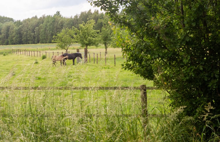 Natuurhuisje in Eext