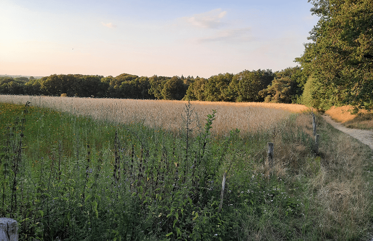 Natuurhuisje in Kootwijkerbroek