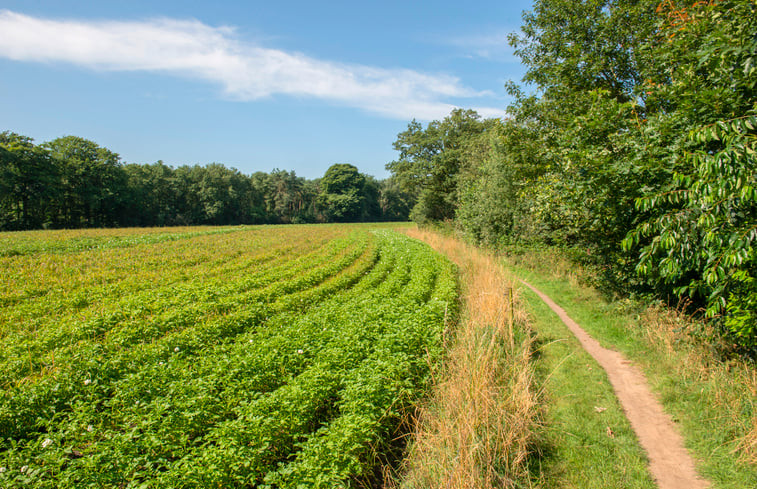 Natuurhuisje in Aalten