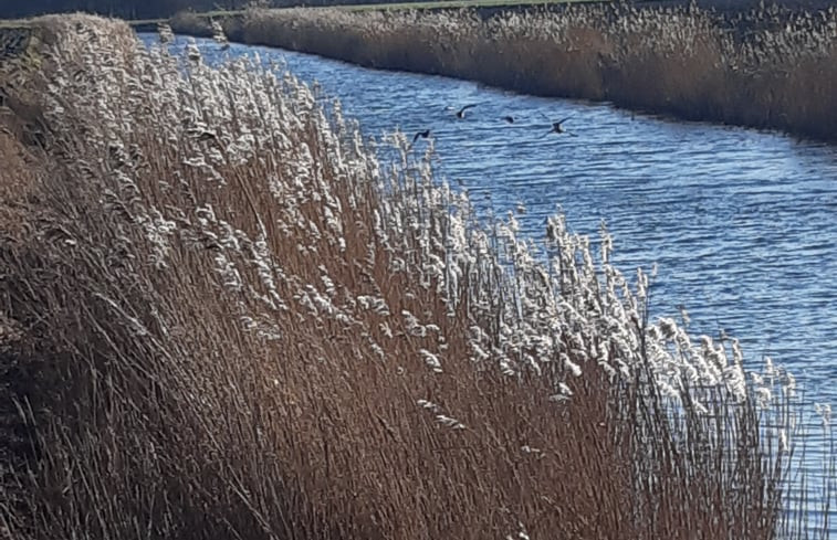 Natuurhuisje in Zeerijp