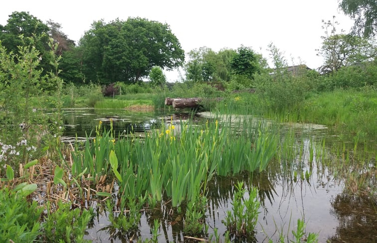 Natuurhuisje in Grashoek