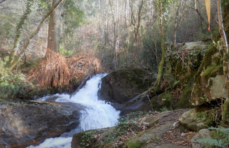 Natuurhuisje in Penela