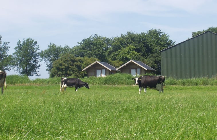 Natuurhuisje in Nijhuizum