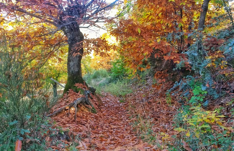 Natuurhuisje in Berzocana