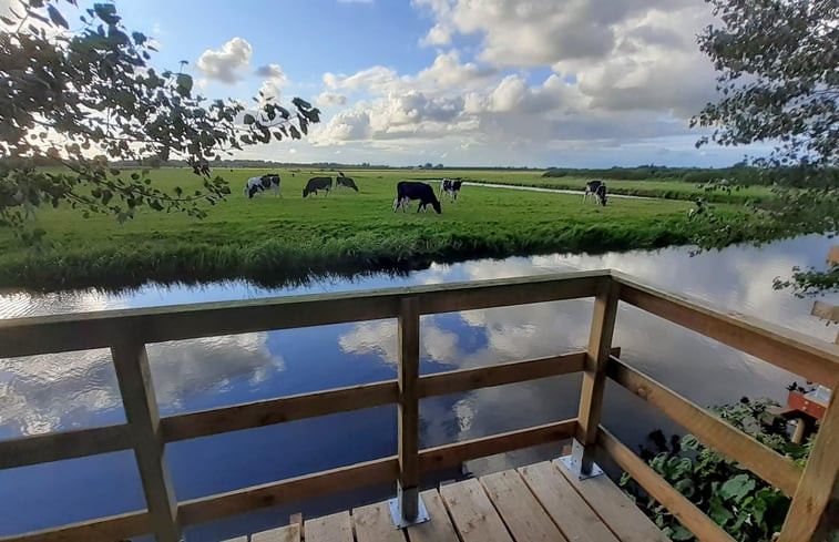 Natuurhuisje in Dronryp