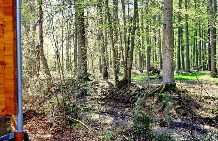 Natuurhuisje in Oignies