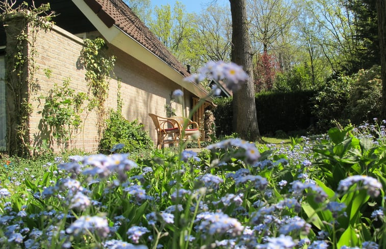 Natuurhuisje in Winterswijk