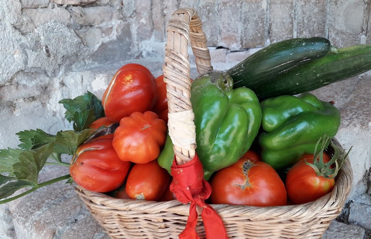 Natuurhuisje in San Severino Marche