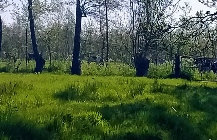 Natuurhuisje in Kollumerzwaag