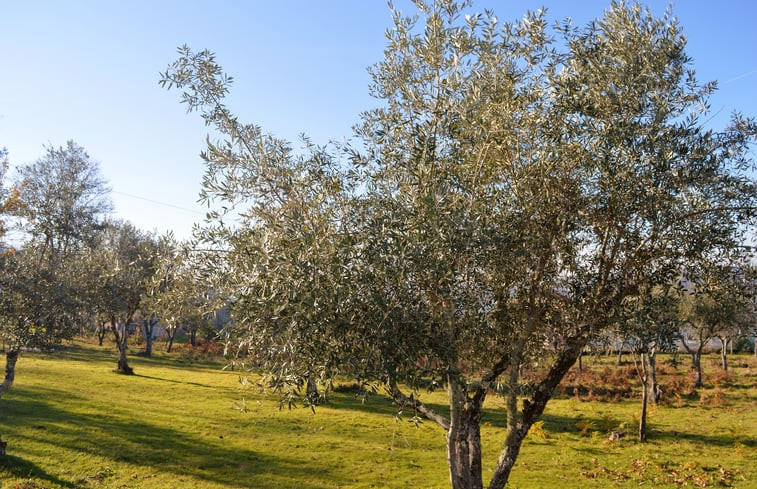 Natuurhuisje in Aldeia das Dez