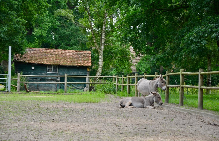 Natuurhuisje in Wehrbleck