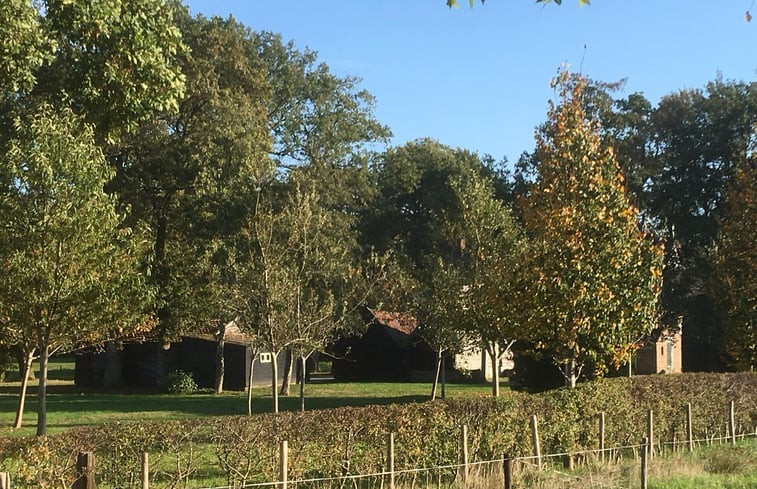 Natuurhuisje in Ruinen