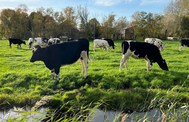 Natuurhuisje in Monnickendam