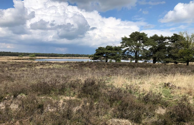 Natuurhuisje in Havelte