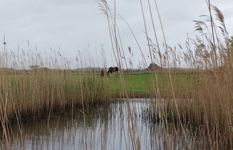 Natuurhuisje in Den Hoorn