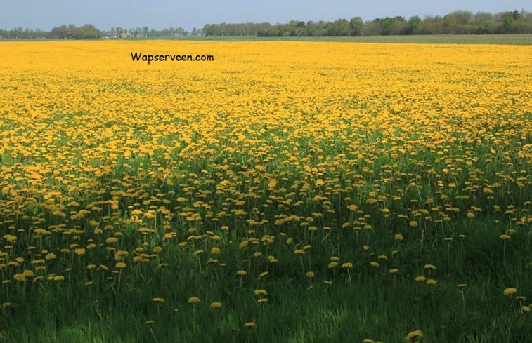 Natuurhuisje in Wapserveen