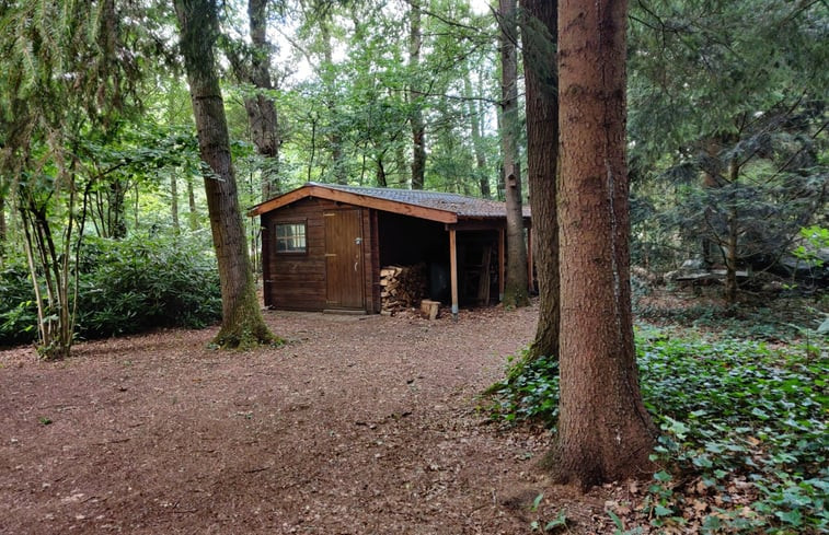 Natuurhuisje in Winterswijk Ratum