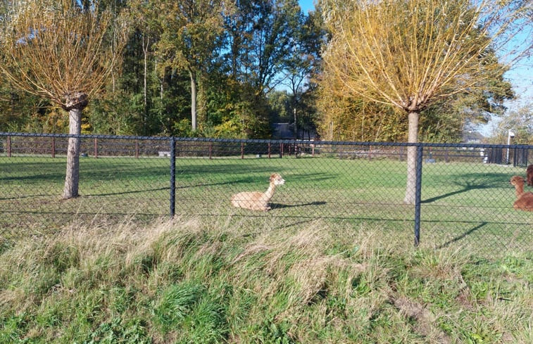 Natuurhuisje in Koewacht