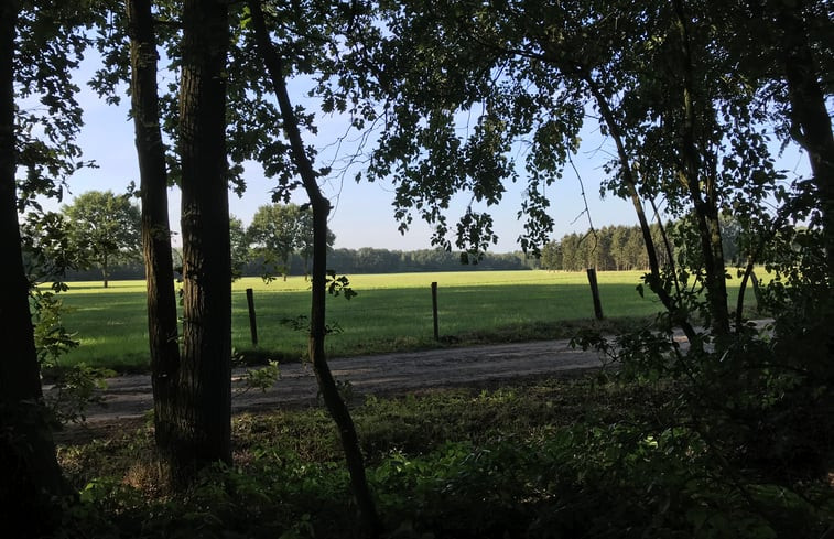 Natuurhuisje in de Lutte