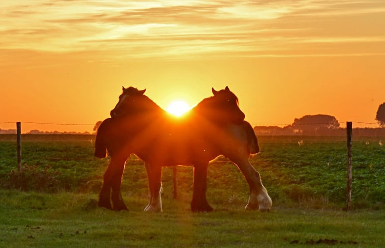 Natuurhuisje in Oostburg