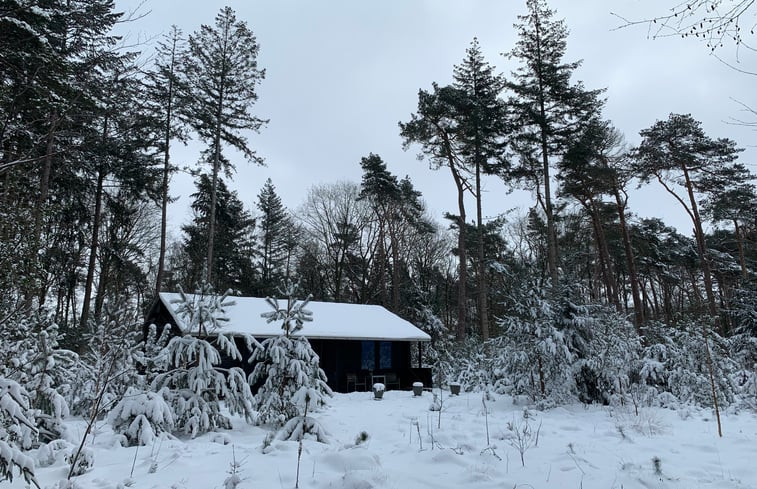 Natuurhuisje in Holten