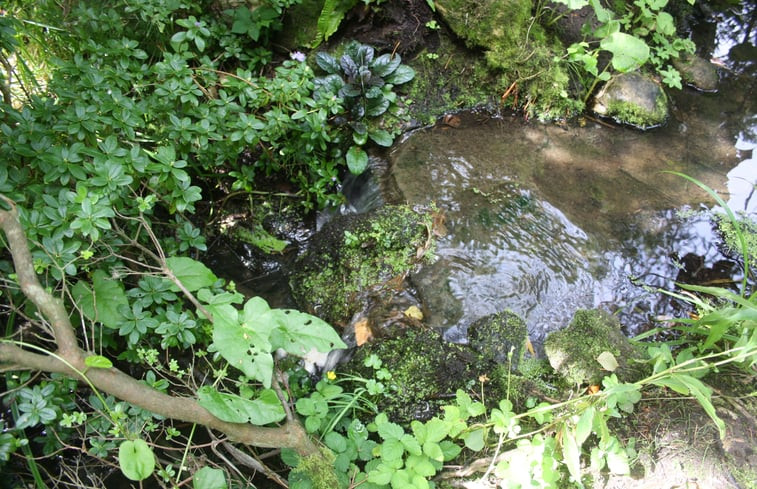 Natuurhuisje in Wilp