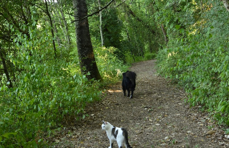 Natuurhuisje in Amelia - Porchiano del Monte