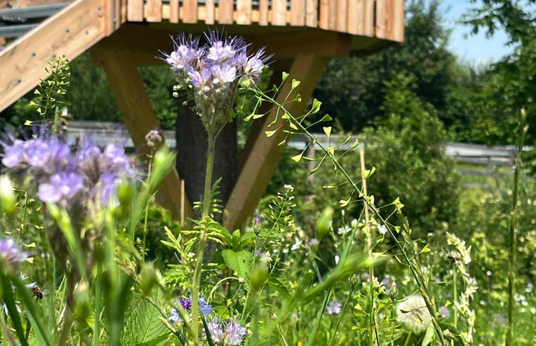 Natuurhuisje in Bernbeuren