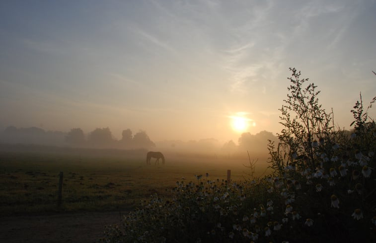 Natuurhuisje in Heeten