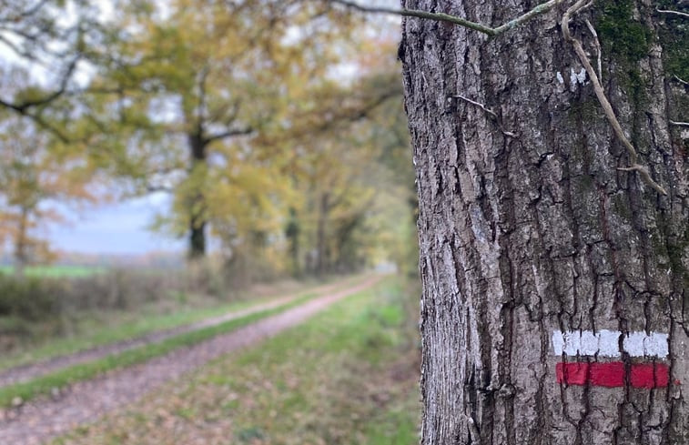 Natuurhuisje in Journet