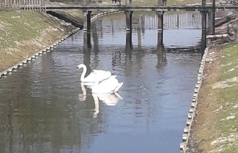 Natuurhuisje in Veurne